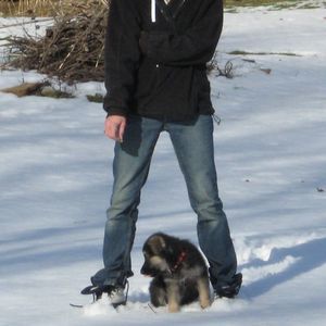 Meet your Posher, Carol